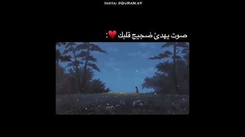 أجمل حالات واتس اب قرآن كريم بصوت جميل جدا