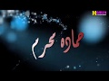 والضوء الشارد ومزار صفينازوالمزمار البلدى واحلي حماده محرم   نجومي