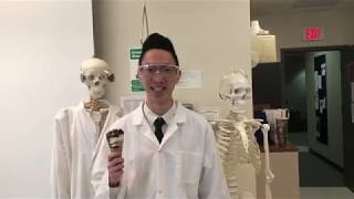 How to Make Alginate Worms!