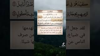 تفسير القران الكريم1