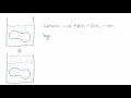 Understanding Fluid and Salt Dynamics