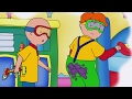 Caillou en Español - El Grillo de Caillou | Dibujos Animados  (1 Horas!) Capítulos Completos