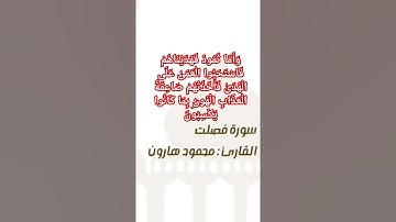 وَأَمَّا ثَمُودُ فَهَدَيْنَاهُمْ فَاسْتَحَبُّوا الْعَمَىٰ عَلَى الْهُدَى #قرآن #تلاوة #فاهم_بودكاست