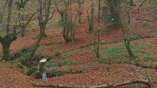Messenger - Blonde Redhead and David Sylvian Music Video.