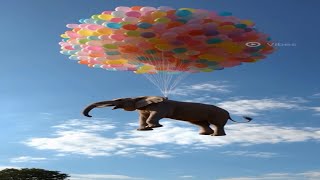 Dale fuerte hasta abajo video oficial. 