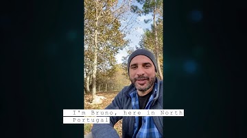 CERN Alumni Advent wishes 2020 - Bruno Sousa 12 December