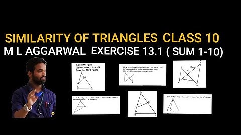 Similarity of triangles class 10 || icse || m l aggarwal || exercise 13.1 || sum 1-10