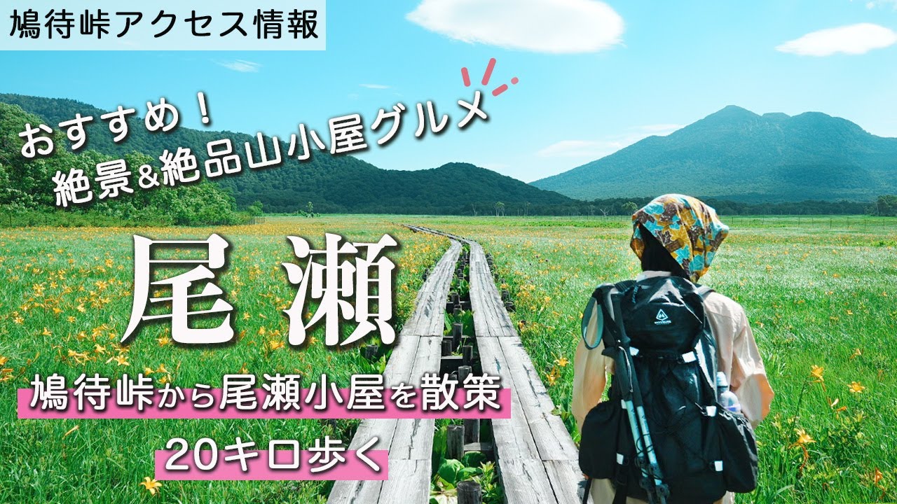 【日帰り/感動】絶対行くべき！初の尾瀬が美しすぎた！絶景の尾瀬ヶ原＆美食の見晴を歩いてみた