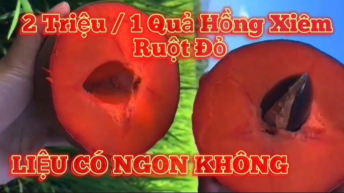 Lợi ích của việc ăn hồng xiêm xoài