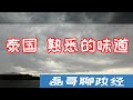 x 泰国乱套了 依然是熟悉的味道/台湾民进党党旗惊现泰国