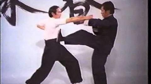 Wing Chun - The Science of InFighting (Wong Shun L...
