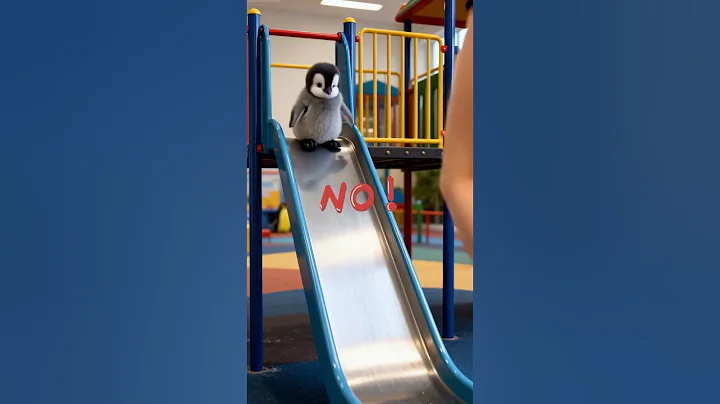 They’re Teasing This Penguin 😂🐧#cute #funny #shorts #penguins