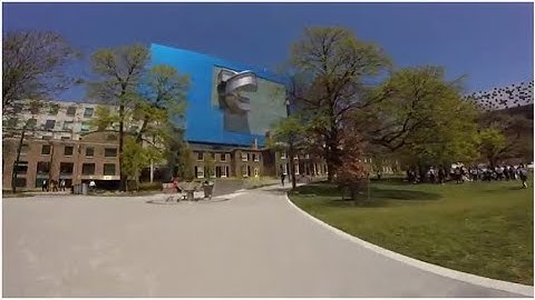 🚲Cycling In Toronto - University Of Toronto 2018