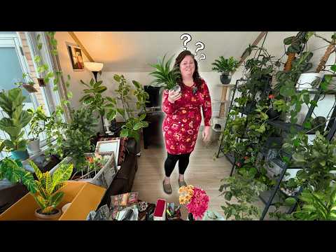 From Jungle To Joy 🌿 Rooting Out The Clutter | Living Room Declutter Day 8