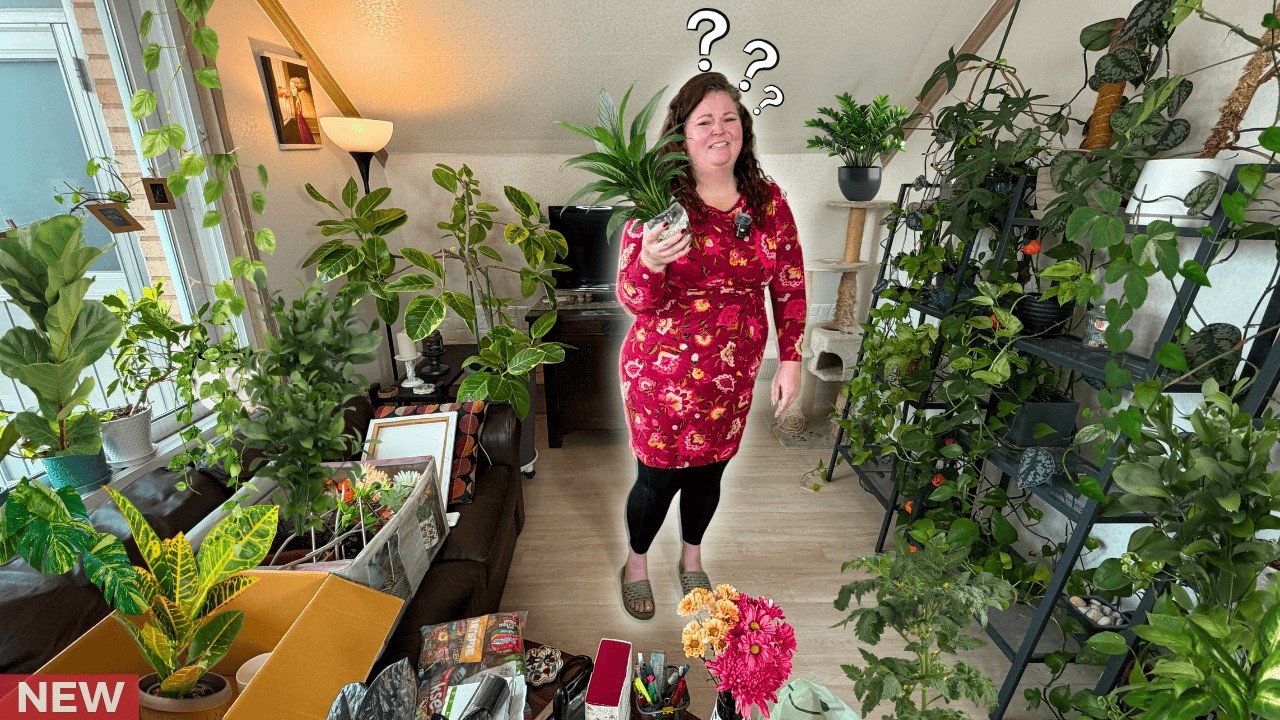 From Jungle to Joy 🌿 Rooting Out the Clutter | Living Room Declutter