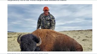 Lodi businessman killed in Gabon rainforest after elephant charge