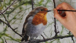 Painting this Robin | Oil painting timelapse