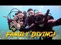 Family Diving in Bonaire | JONATHAN BIRD'S BLUE WORLD