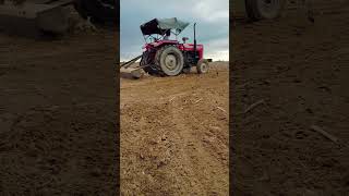 #farminglife #sowingseeds #viralshort