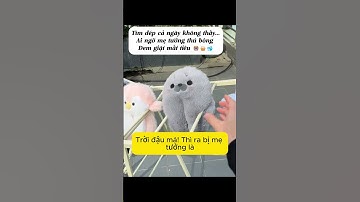 Dép của tui mà lại tưởng là thú bông vậy trời #dochoidocla