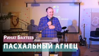 Ринат Бахтеев - Пасхальный Агнец
