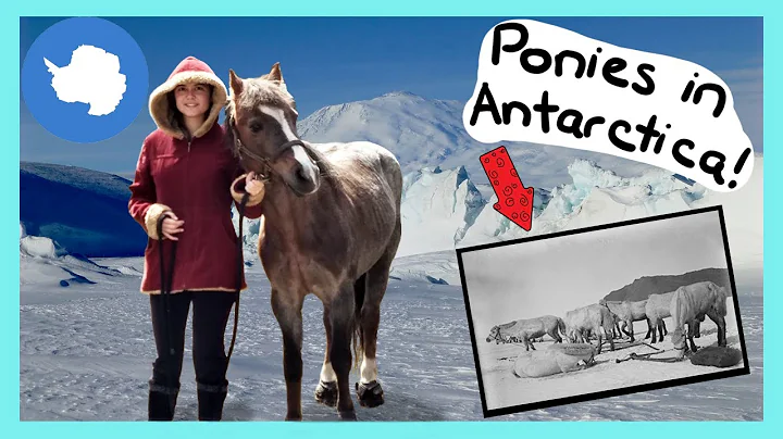 The Ghosts of Ponies Past - An Antarctic Story