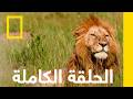 كبرياء وتحامل صيادو أفريقيا ناشونال جيوغرافيك أبوظبي
