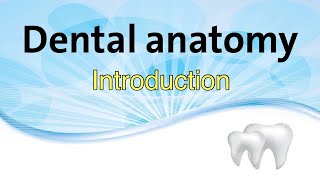 dental anatomy introduction and nomenclature