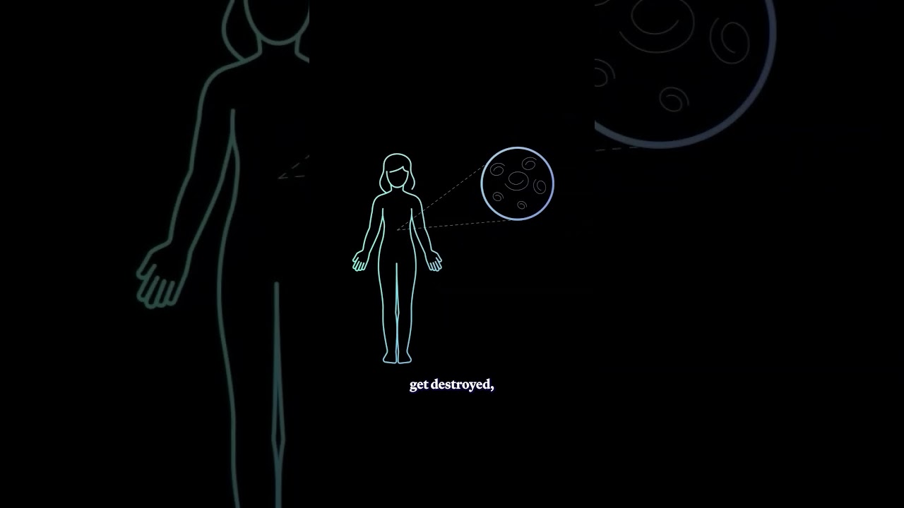 Как на самом деле развивается диабет 1 типа?