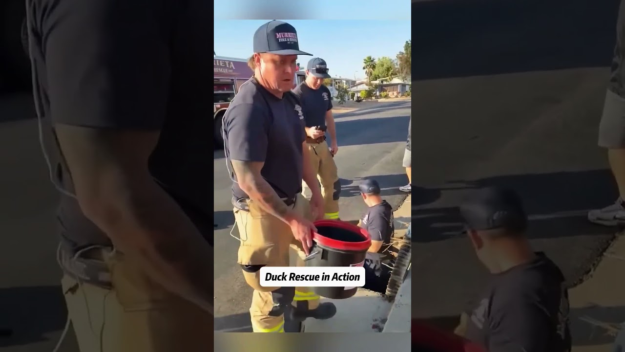 Best Acts of kindness #fyp #usa #unitedstates