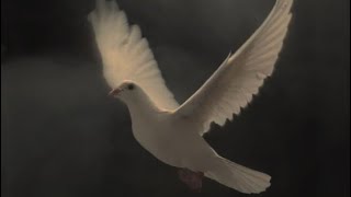 Yağmur Deryahan - Yok Bana Bu Cihanda (Maya Perest Cover)