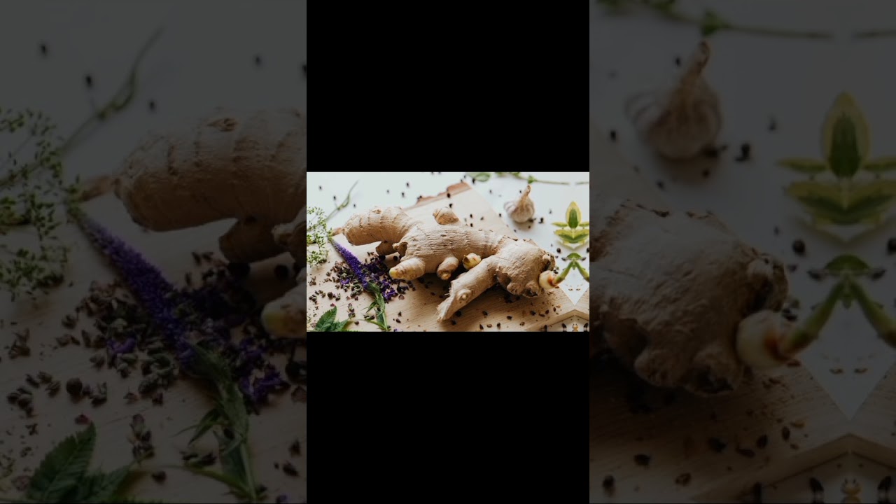 Ginger_benefits of gingerhuman healthUrdu Hindi YouTube