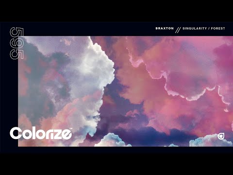 Braxton - Forest auf YouTube ansehen Braxton - Forest auf YouTube ansehen