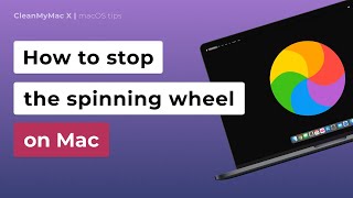 How to Stop the Spinning Wheel on Mac