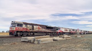 SCT 5PM9 Mixed Freight Train With Five Diesel Locomotives (19/11/2023) - PoathTV Railways by PoathTV - Australian Trains 258 views 11 days ago 1 minute, 45 seconds