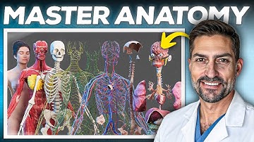 Master Anatomy Smarter, Not Harder – Stop Memorizing Random Parts!