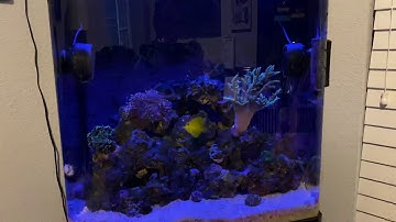 32g Biocube - Update 6.2 (Lighting Schedule)