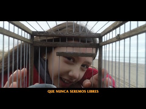 Punk music video thumbnail preview for Attaque 77 - El pájaro canta hasta morir