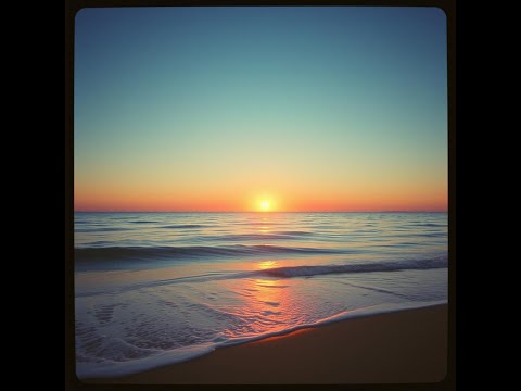 Sunsets Official Music Video 