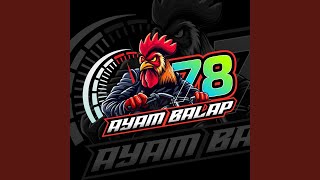 Download Lagu AYAM BALAP 78 Download Lagu AYAM BALAP 78
