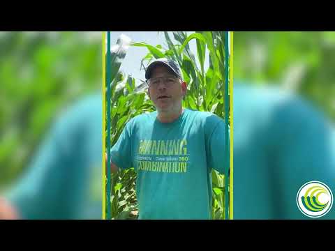 The Value of Working with a Channel Seedsman