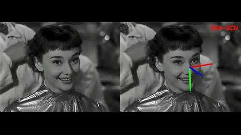 EVA-GCN head pose estimation. (Audrey Hepburn in "Roman Holiday")