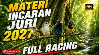 🔴LIVE Materi incaran juri 2027 full Racing roll tembak untuk murai batu cucak ijo dan cendet