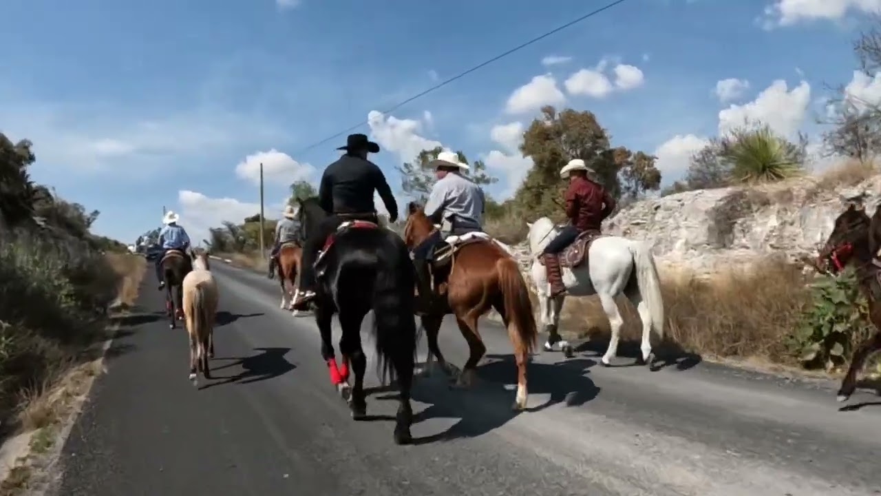 Cabalgata 2025 San Antonio Juárez.