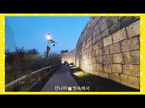 잔나비🙊빗속에서