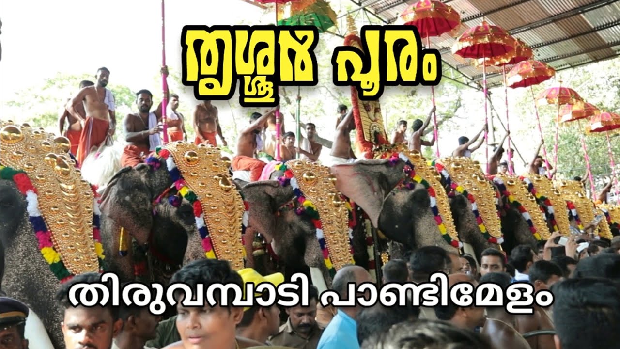 Thrissur Pooram 2023 Pandi Melam Cheranalloor Sankarankutty Marar