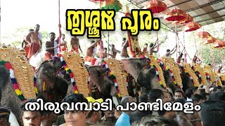Thrissur Pooram 2023 Pandi Melam Cheranalloor Sankarankutty Marar