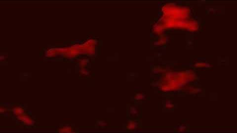 AOE2:DE MODDING: Getting warmer...