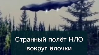 UFO НЛО- танец вокруг ёлочки?Что это значит?