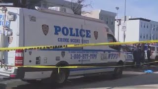 Woman's dismembered body found in Brooklyn